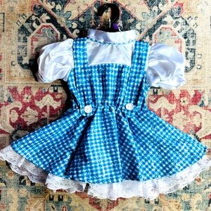 Wizard of Oz "Dorothy" costume (2t/3t)